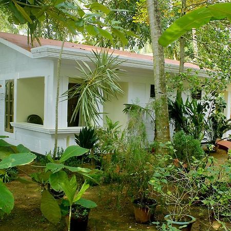 Hotel Jickys Nest à Varkala Chambre photo