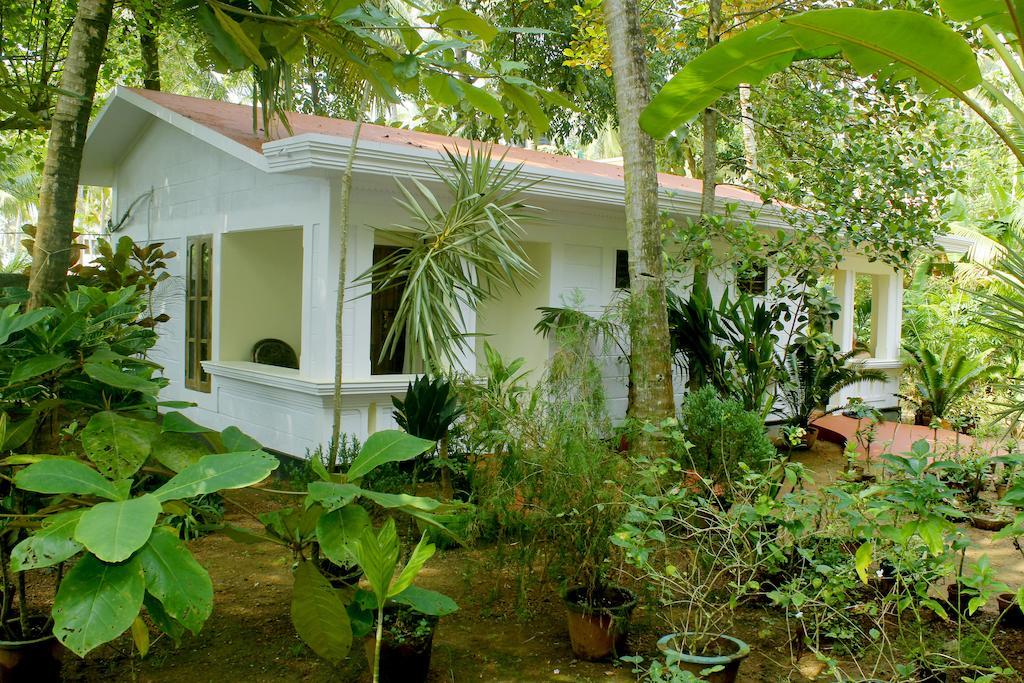 Hotel Jickys Nest à Varkala Chambre photo